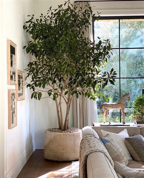 artificial trees for indoor living.